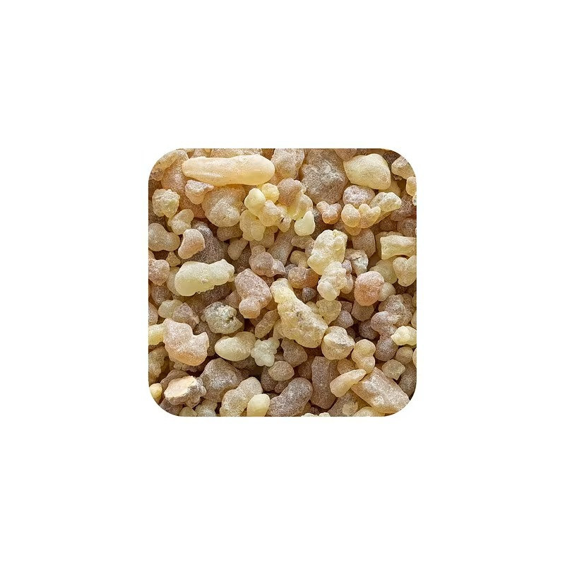 1 Kg Encens Oliban Dakar - Tradition Ancestrale et Parfum Envoûtant