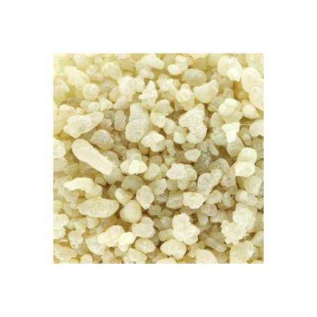 Encens Oliban Mastica 100gr