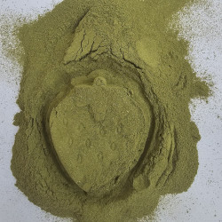 1 kg  de Moringa en Poudre de Medine  – Goût Unique et Bienfaits Natur