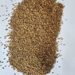 1 kg Graines de Cresson de Qassim