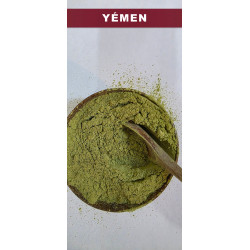 100 gr Sidr Jujubier du Yémen - Sidr des Montagnes Rare