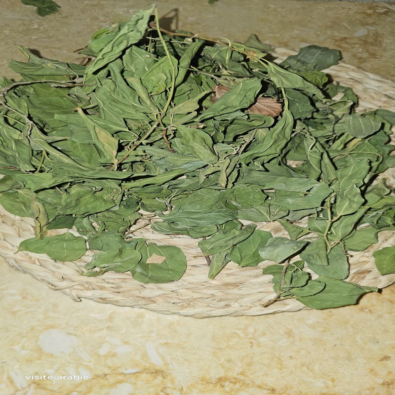 feuille  de Jujubier de Médine - Arabie Saoudite