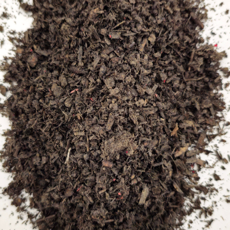 100 gr Encens de Médine Noir - Artisanat Rare aux Arômes Uniques