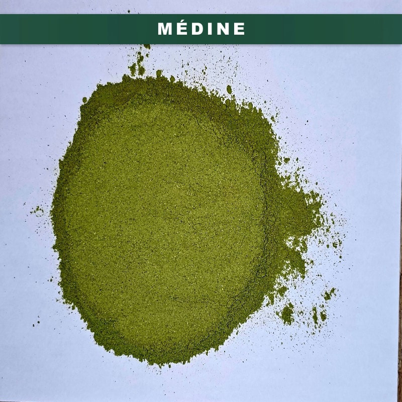 500g Sidr Poudre de Jujubier de Médine - Arabie Saoudite