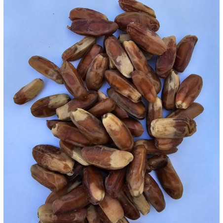 Dattes surol de Médine 500 GR - Dattes Authentiques